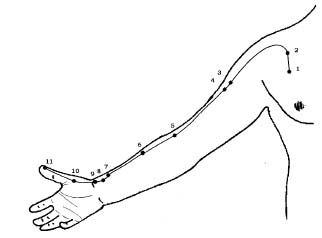 Mawangdui et points d'acupuncture poumon